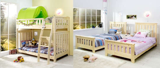 (사진제공=에보니아)